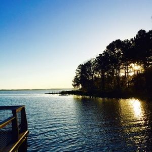 Meet your Posher, Jimmy